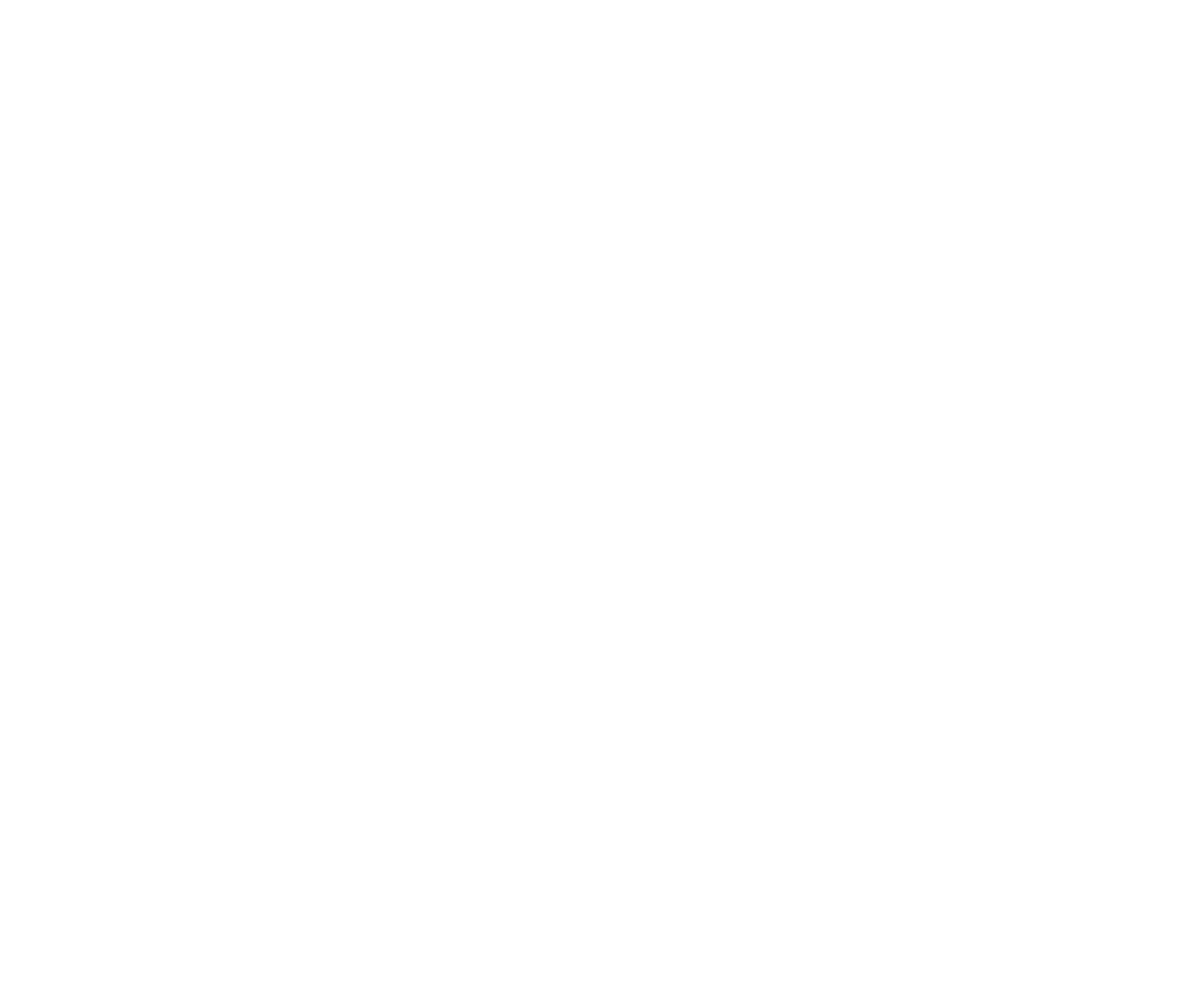 AMO_LOGO